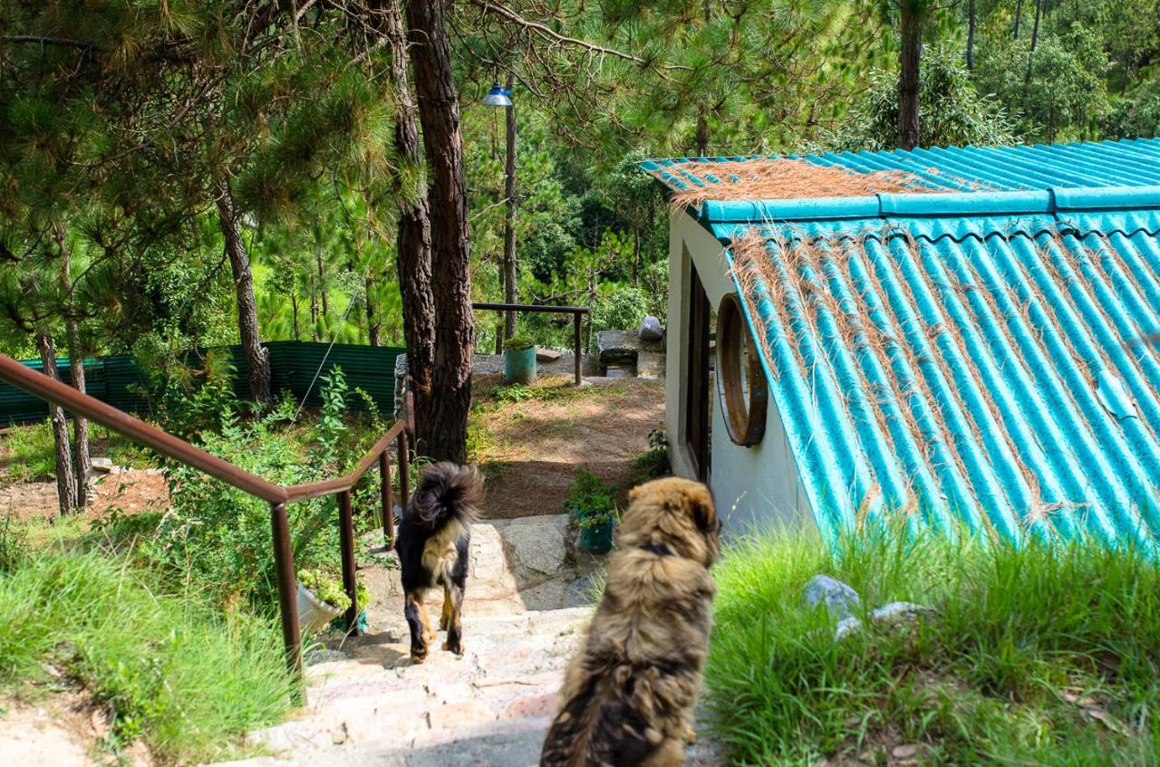Happy Dervish Homestay Mukteshwar Exterior foto