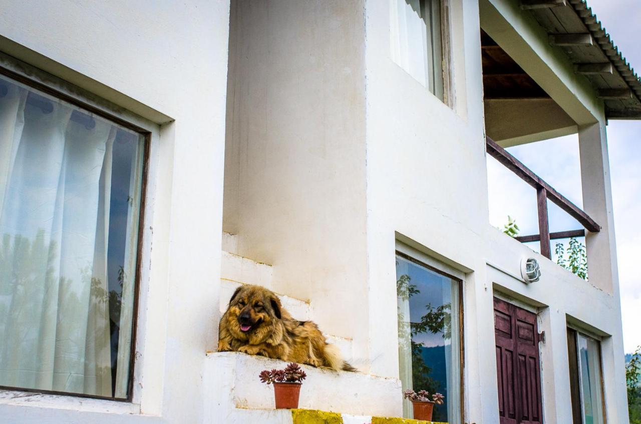 Happy Dervish Homestay Mukteshwar Exterior foto