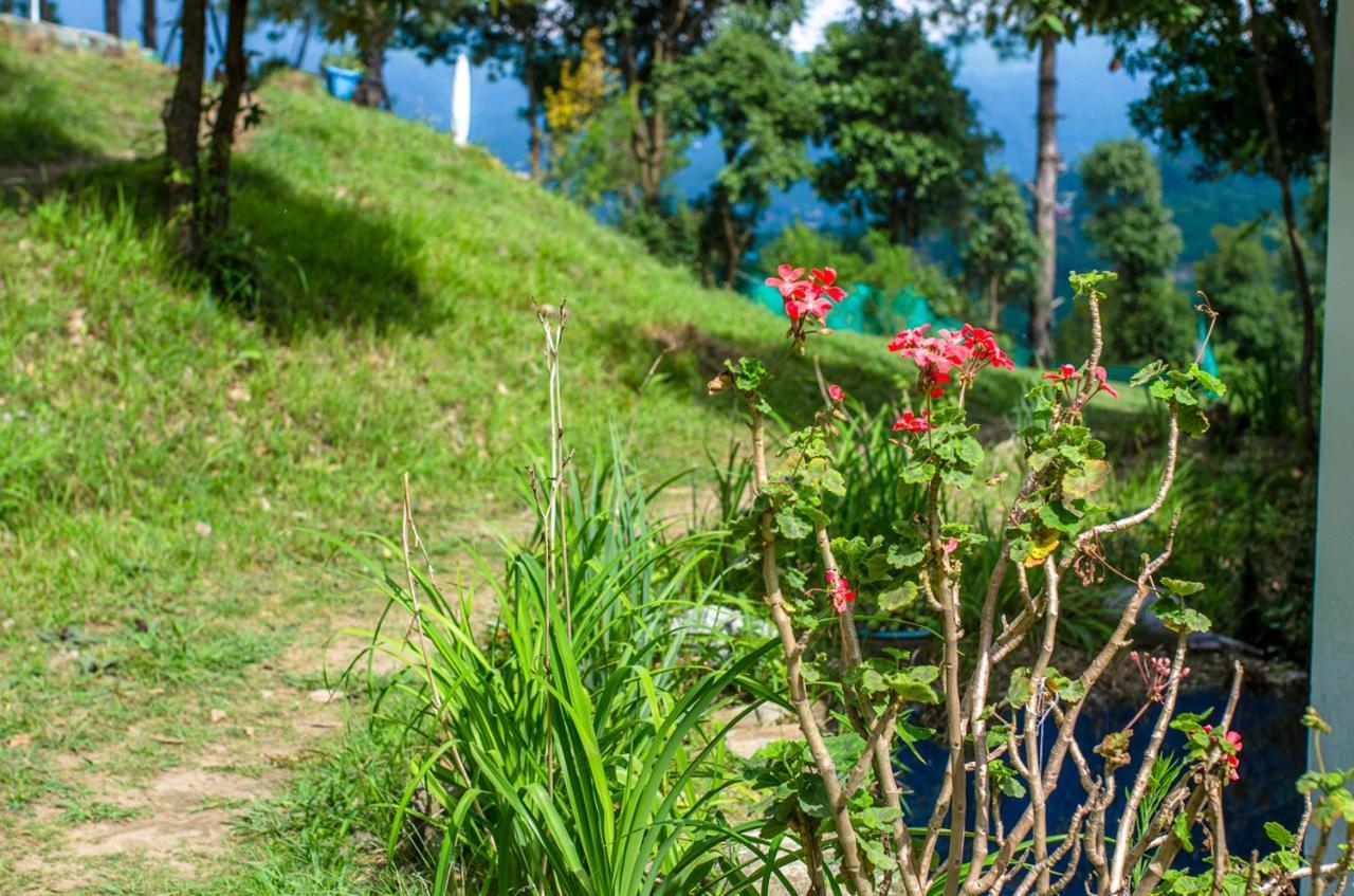 Happy Dervish Homestay Mukteshwar Exterior foto